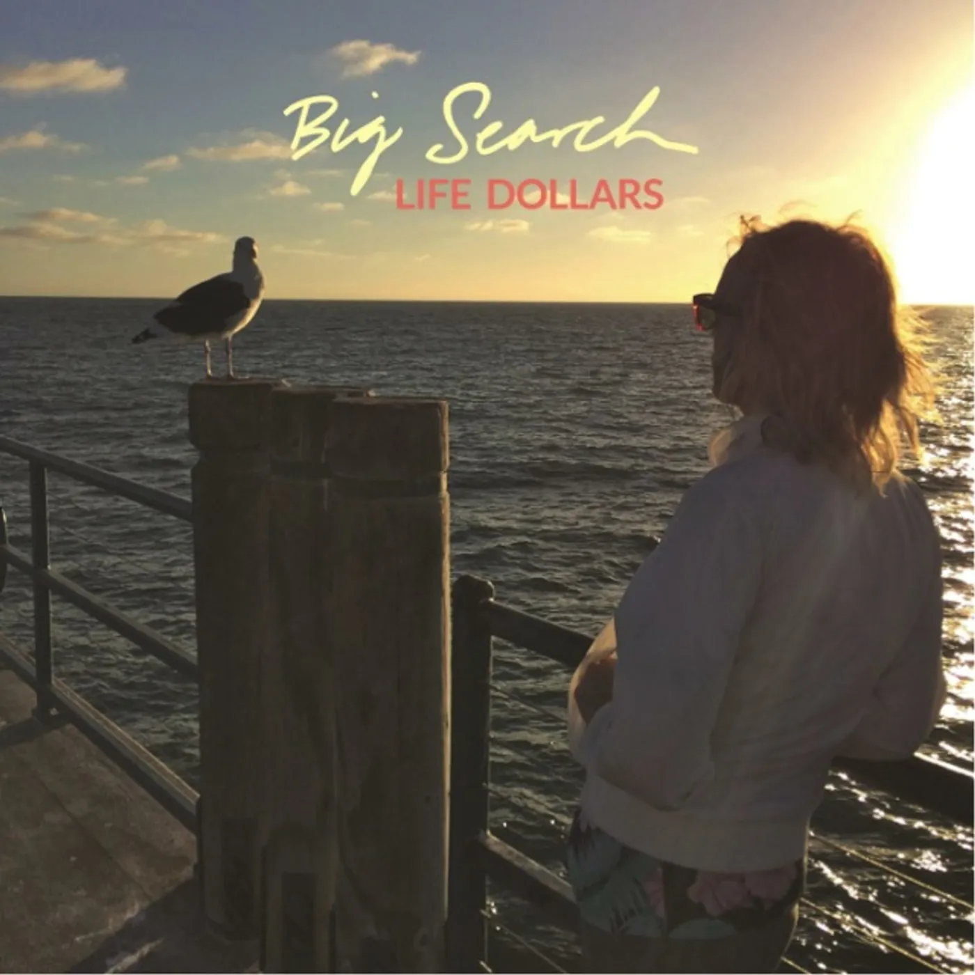 Big Search Life Dollars Vinyl Record