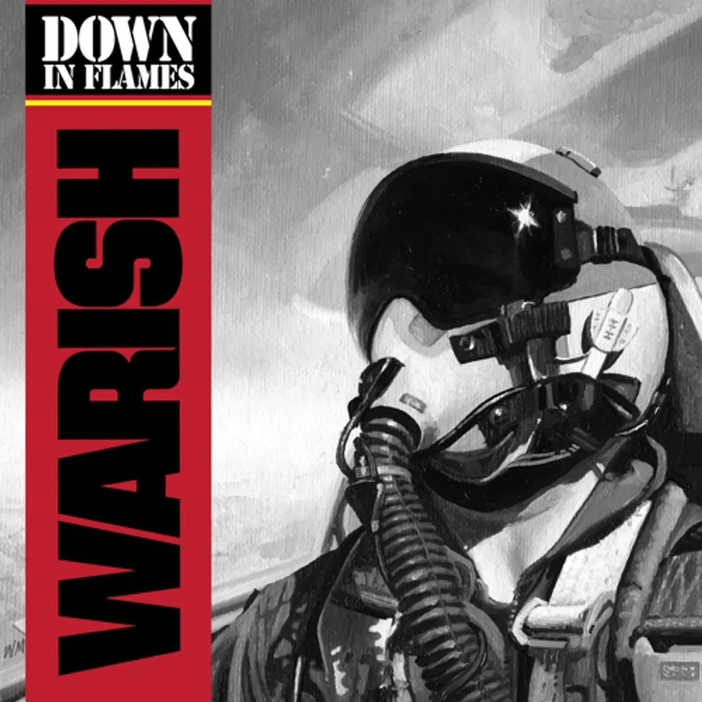 Warish Down In Flames Vinyl Record