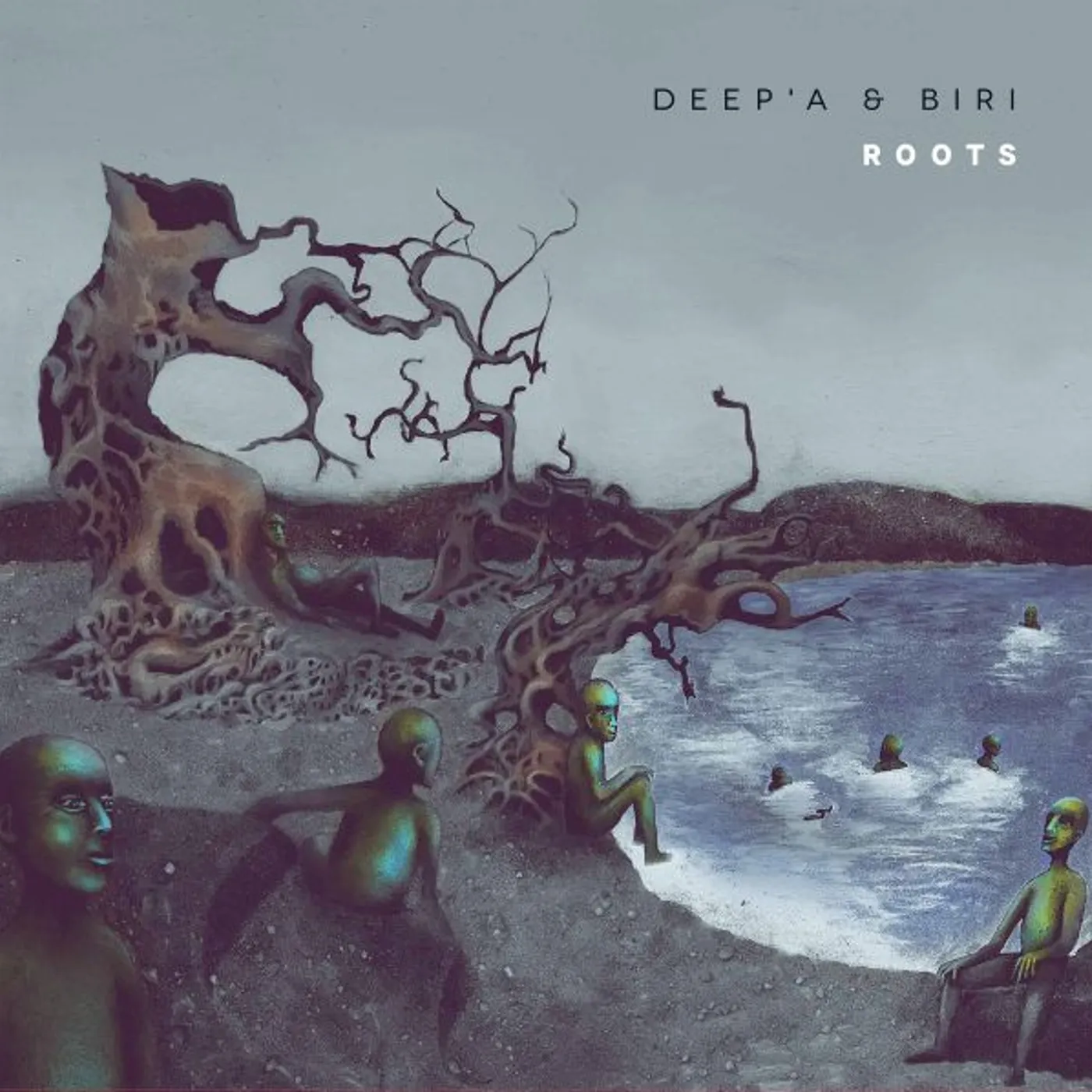 Deep'a & Biri Roots Vinyl Record