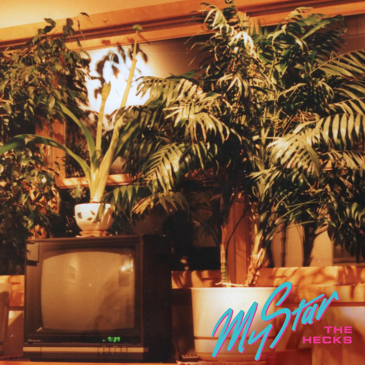 The Hecks My Star Vinyl Record