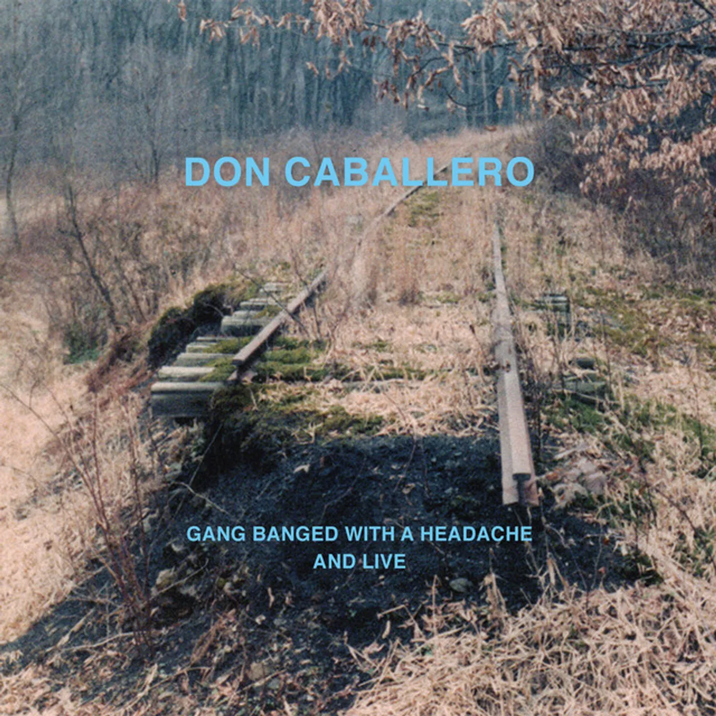 Don Caballero Gang Banged With A Headache And Live Vinyl Record
