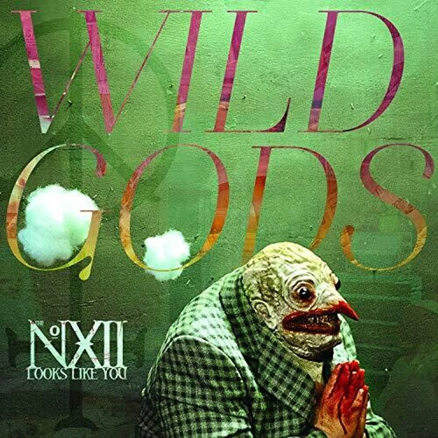 The Number Twelve Looks Like You Wild Gods Vinyl Record