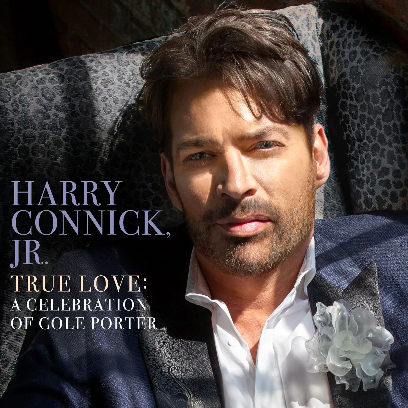 Harry Connick, Jr. TRUE LOVE: A CELEBRATION OF COLE PORTER CD