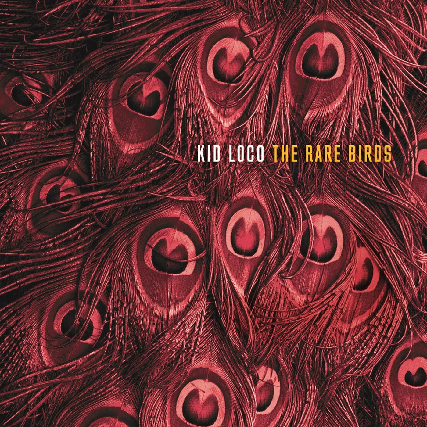 Kid Loco RARE BIRDS Vinyl Record