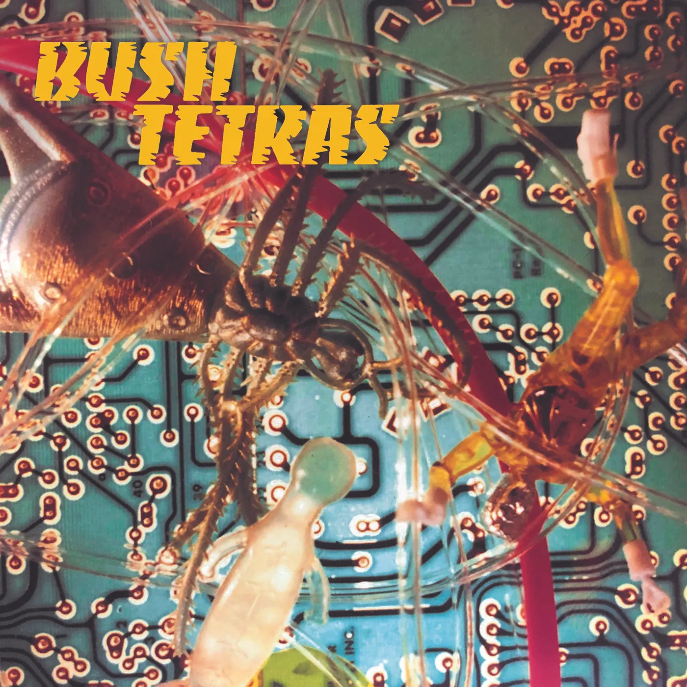 Bush Tetras There Is A Hum B/W Seven Years Vinyl Record