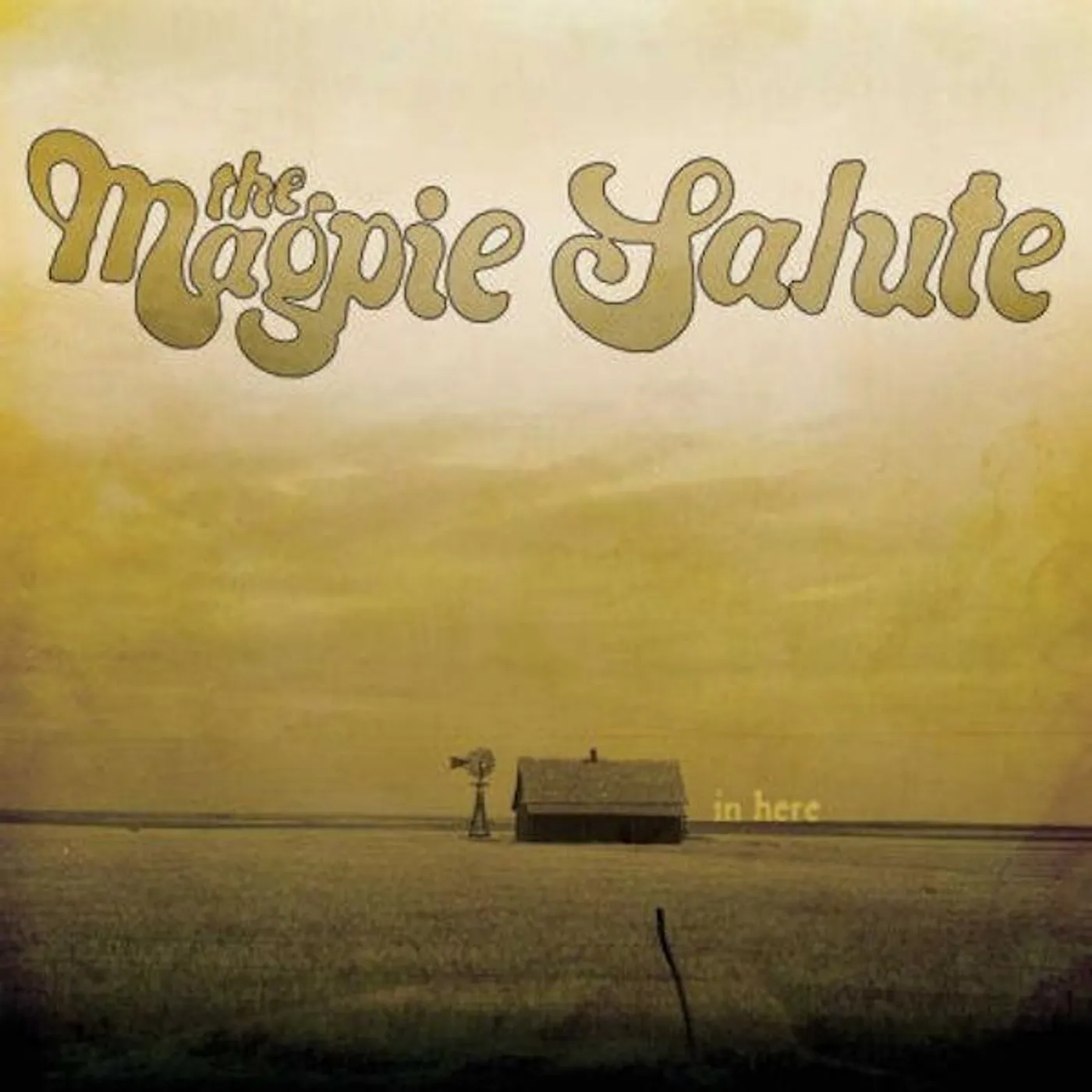 The Magpie Salute In Here Vinyl Record