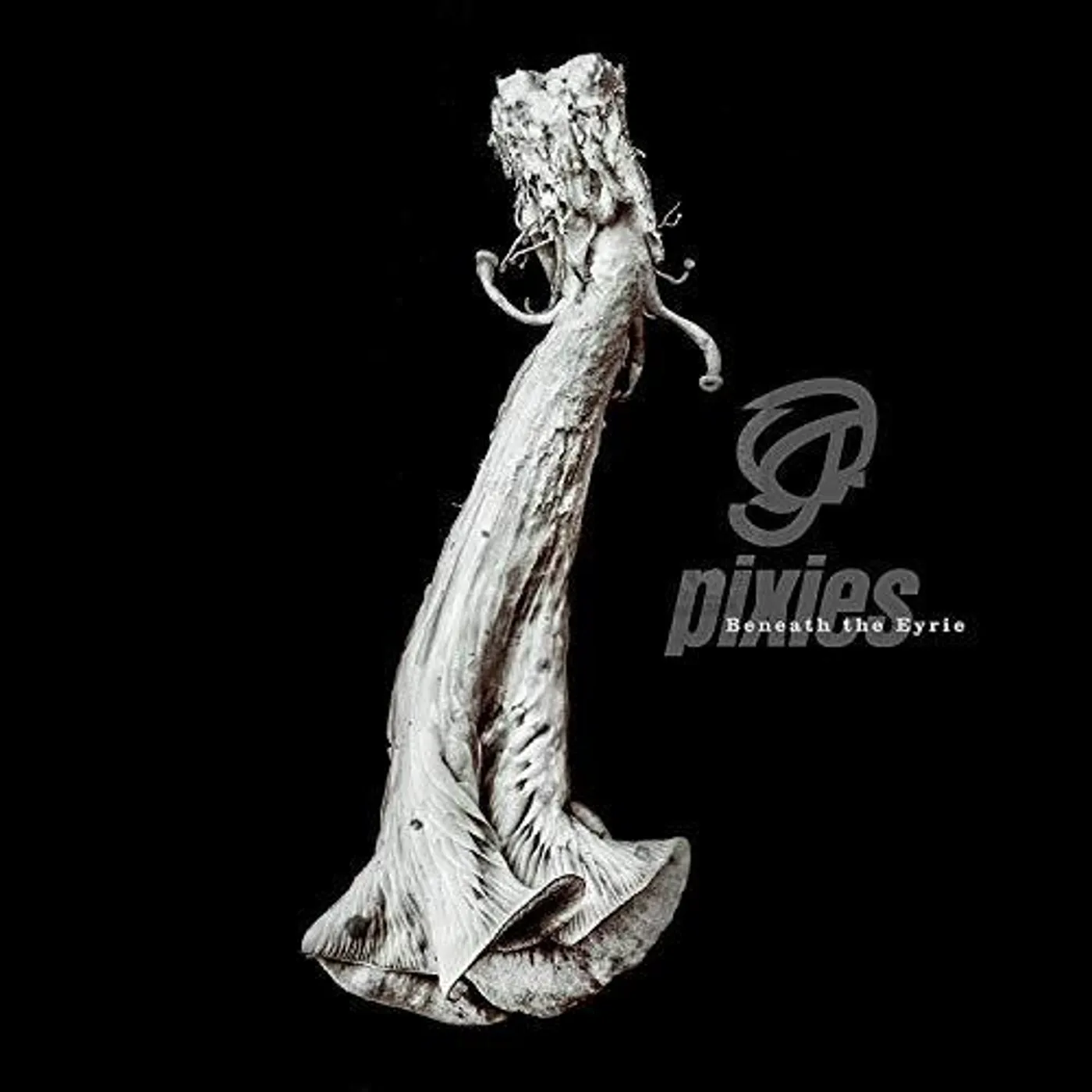 Pixies Beneath the Eyrie Vinyl Record