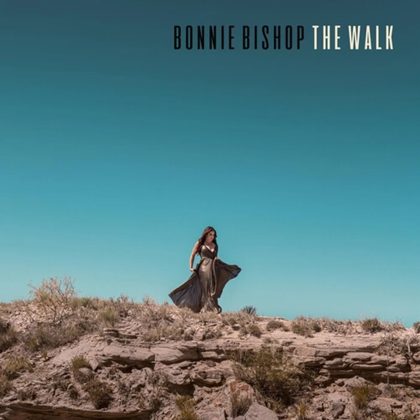 Bonnie Bishop WALK Vinyl Record