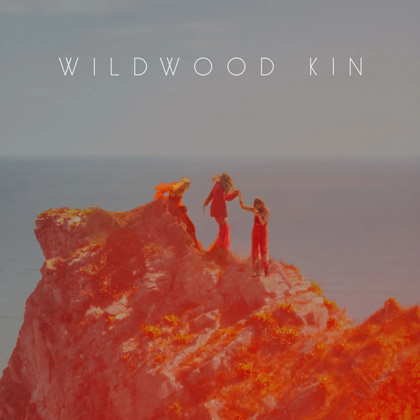 WILDWOOD KIN CD