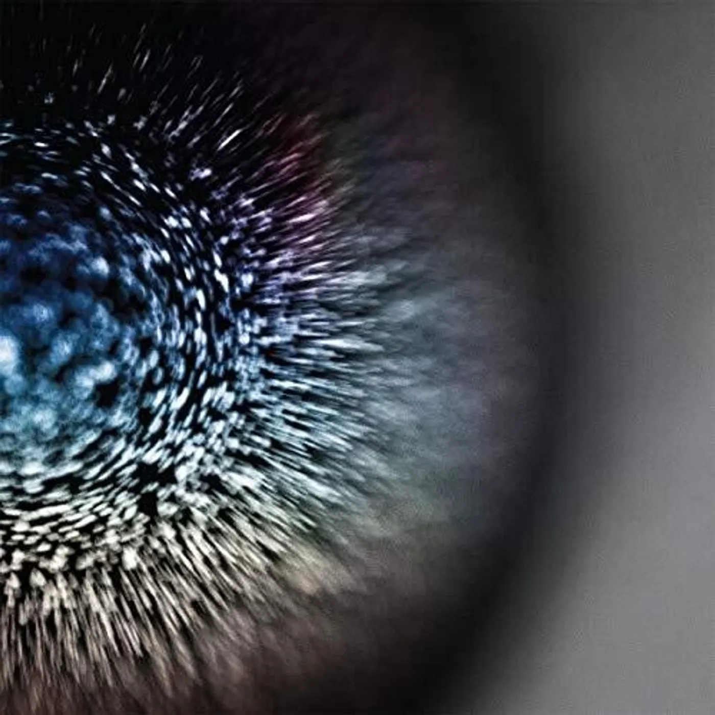 Emptyset Blossoms Vinyl Record
