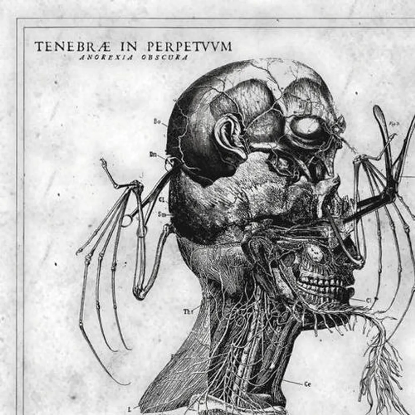 Tenebrae In Perpetuum ANOREXIA OBSCURA CD