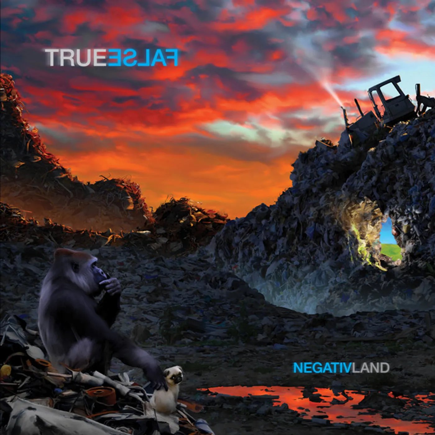 Negativland True False Vinyl Record