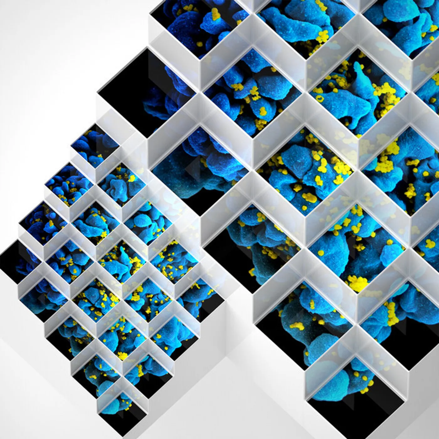 Bluetech LIQUID GEOMETRIES IN DUB CD