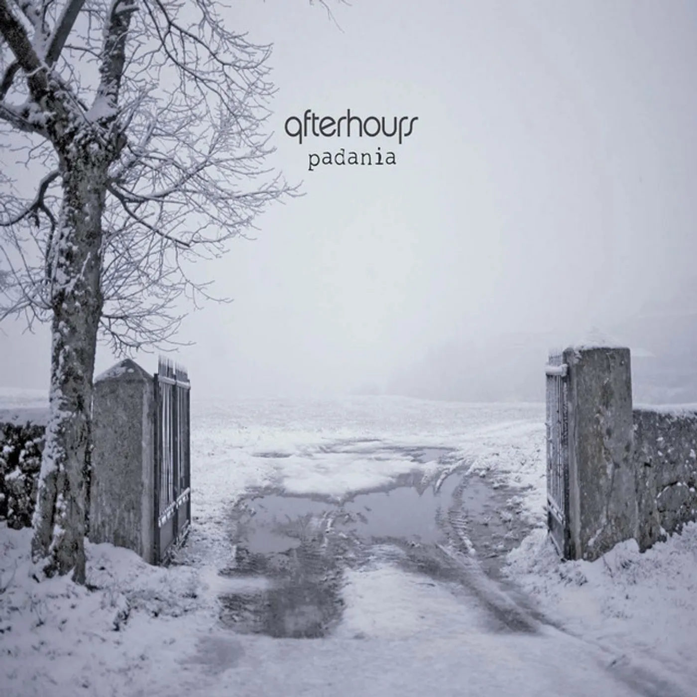 Afterhours Padania Vinyl Record