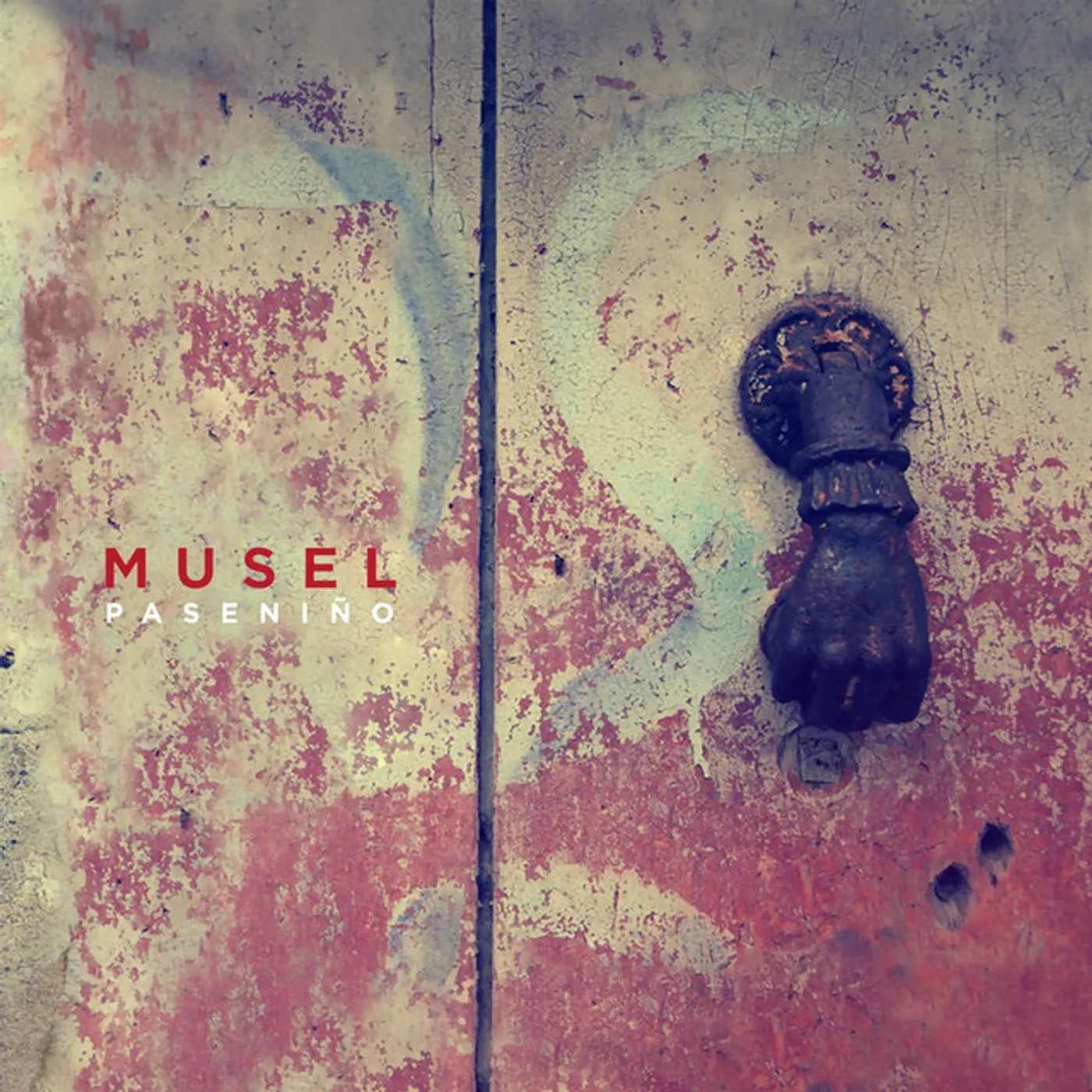 Musel Pasenino Vinyl Record