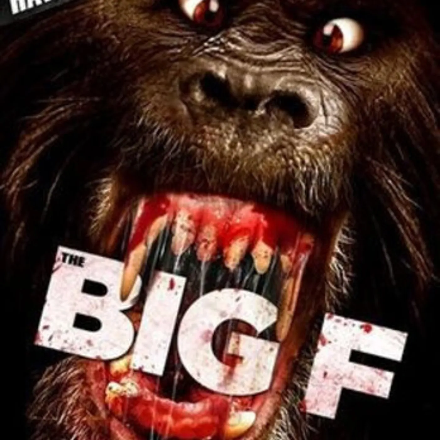 BIG F DVD