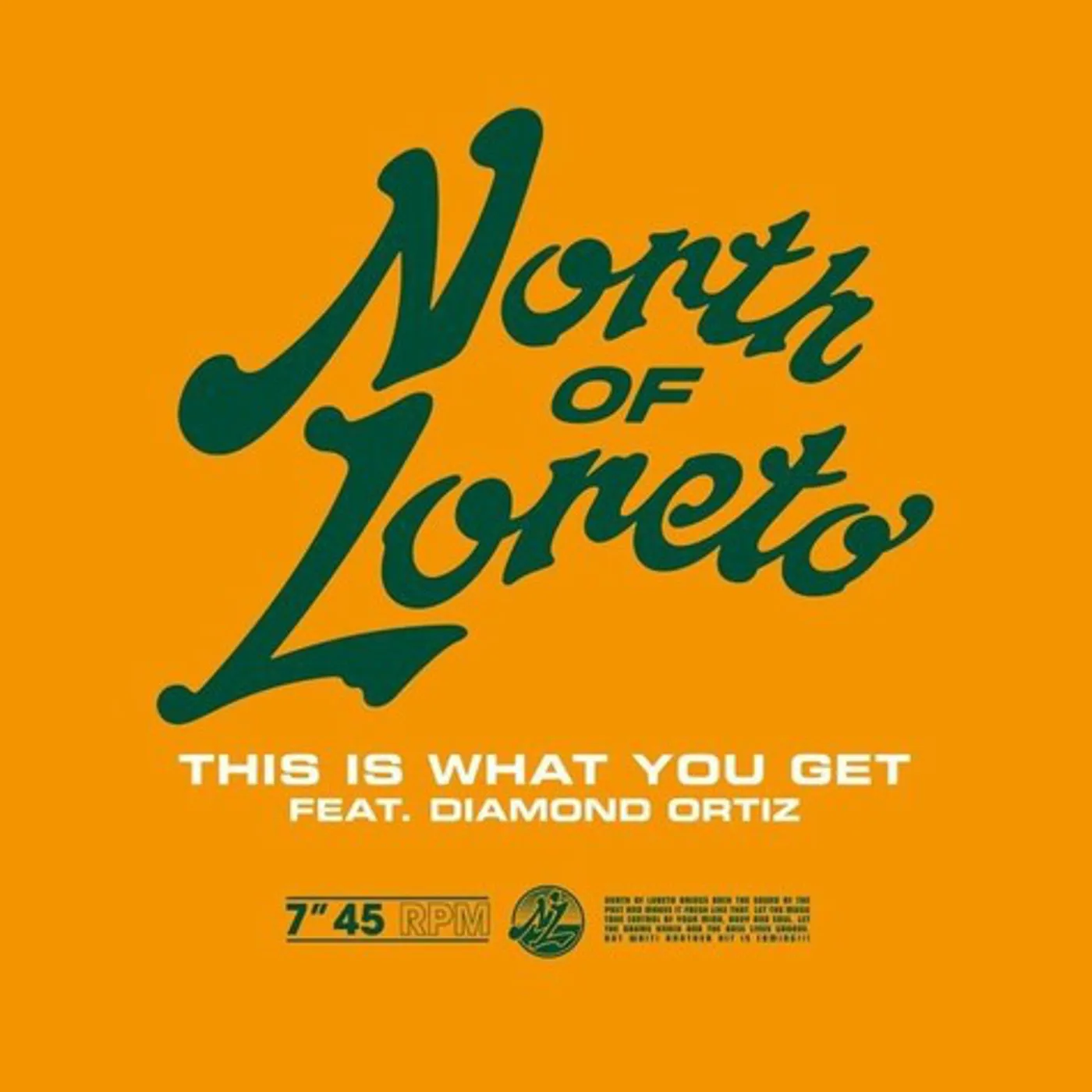 North of Loreto THIS IS WHAT YOU GET Vinyl Record