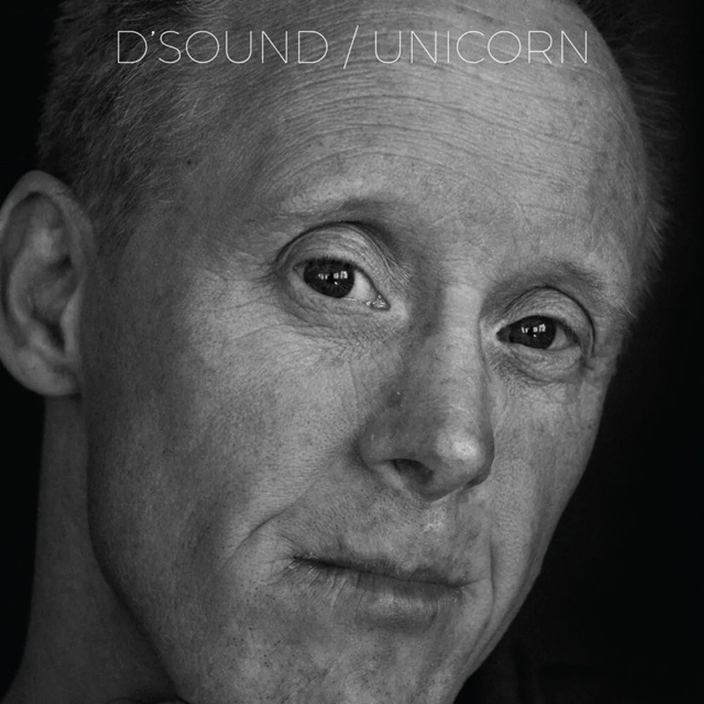 D'Sound UNICORN CD