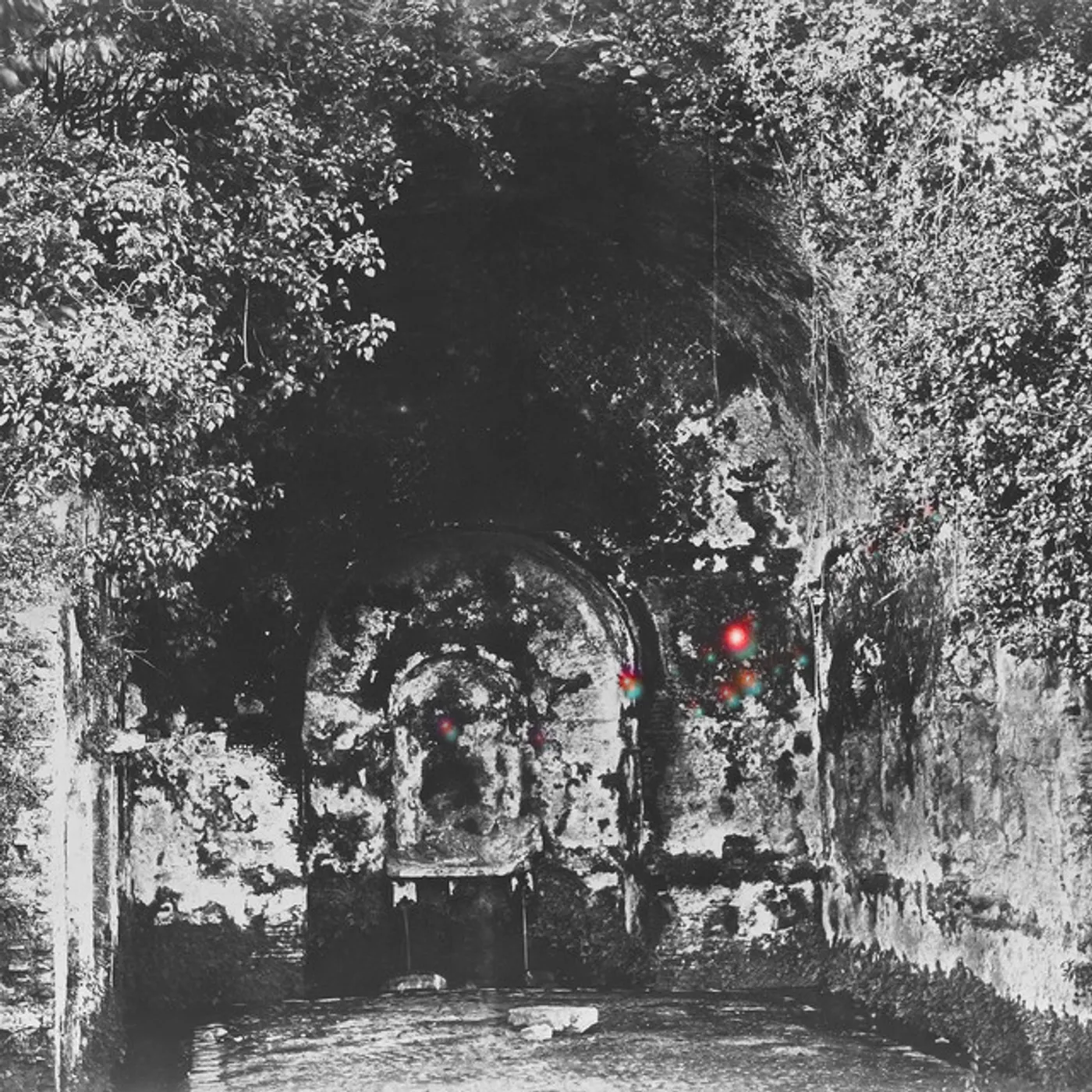 Yellow Eyes RARE FIELD CEILING CD