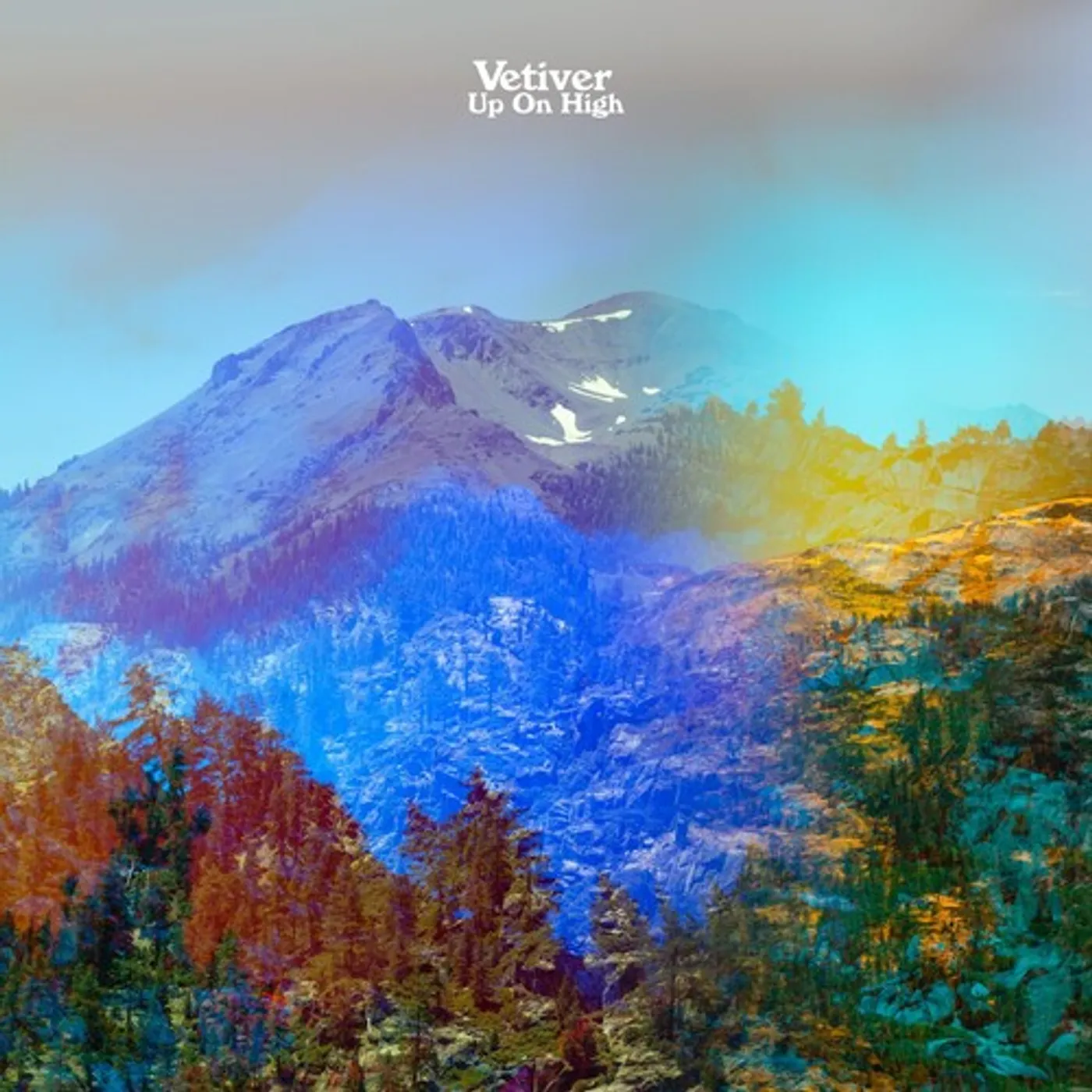 Vetiver Up on High Vinyl Record