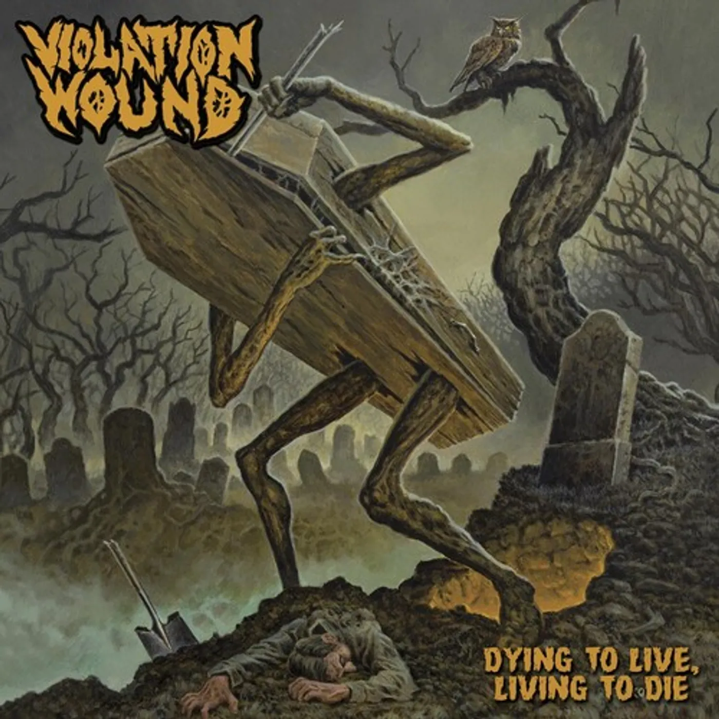 Violation Wound Dying to Live, Living to Die Vinyl Record