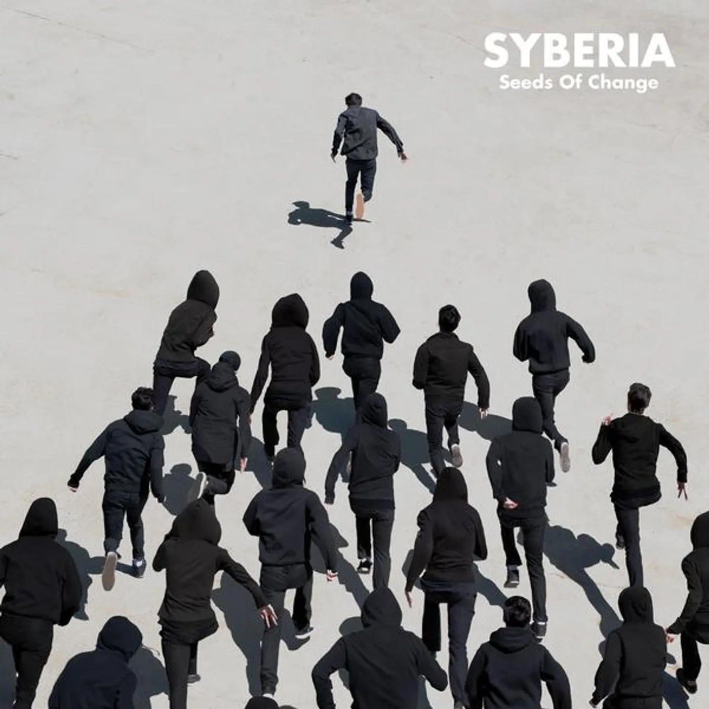 Sybiria Seeds Of Change Vinyl Record
