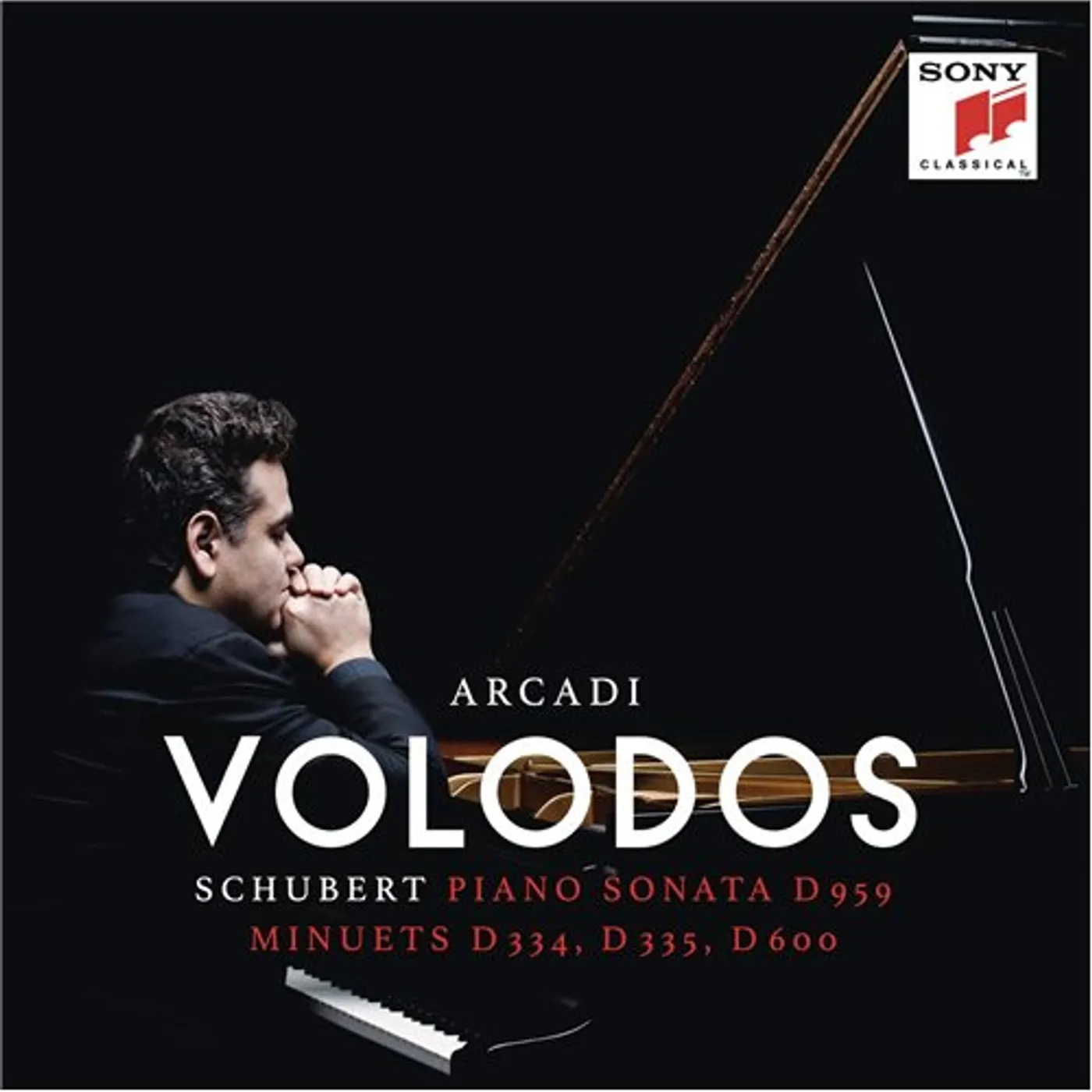 Arcadi Volodos SCHUBERT: PIANO SONATA D 959 & MINUETS D 334 Vinyl Record