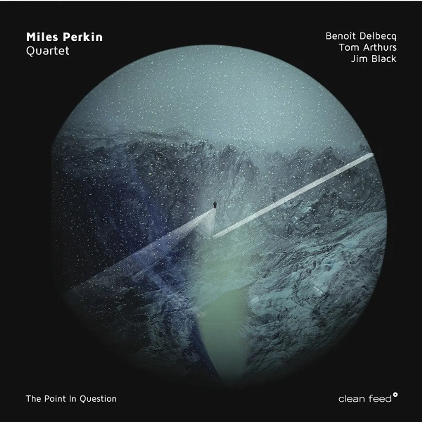 Miles Perkin POINT IN QUESTION Vinyl Record