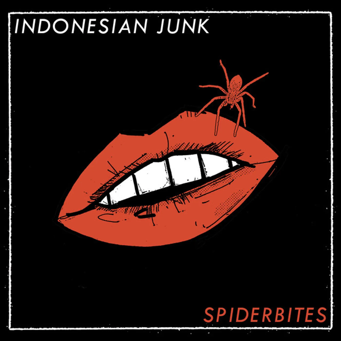 Indonesian Junk SPIDERBITES CD