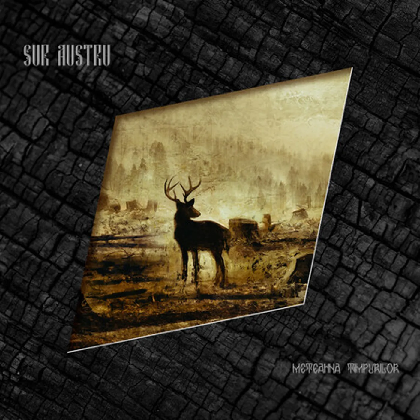 Sur Austru Meteahna Timpurilor Vinyl Record