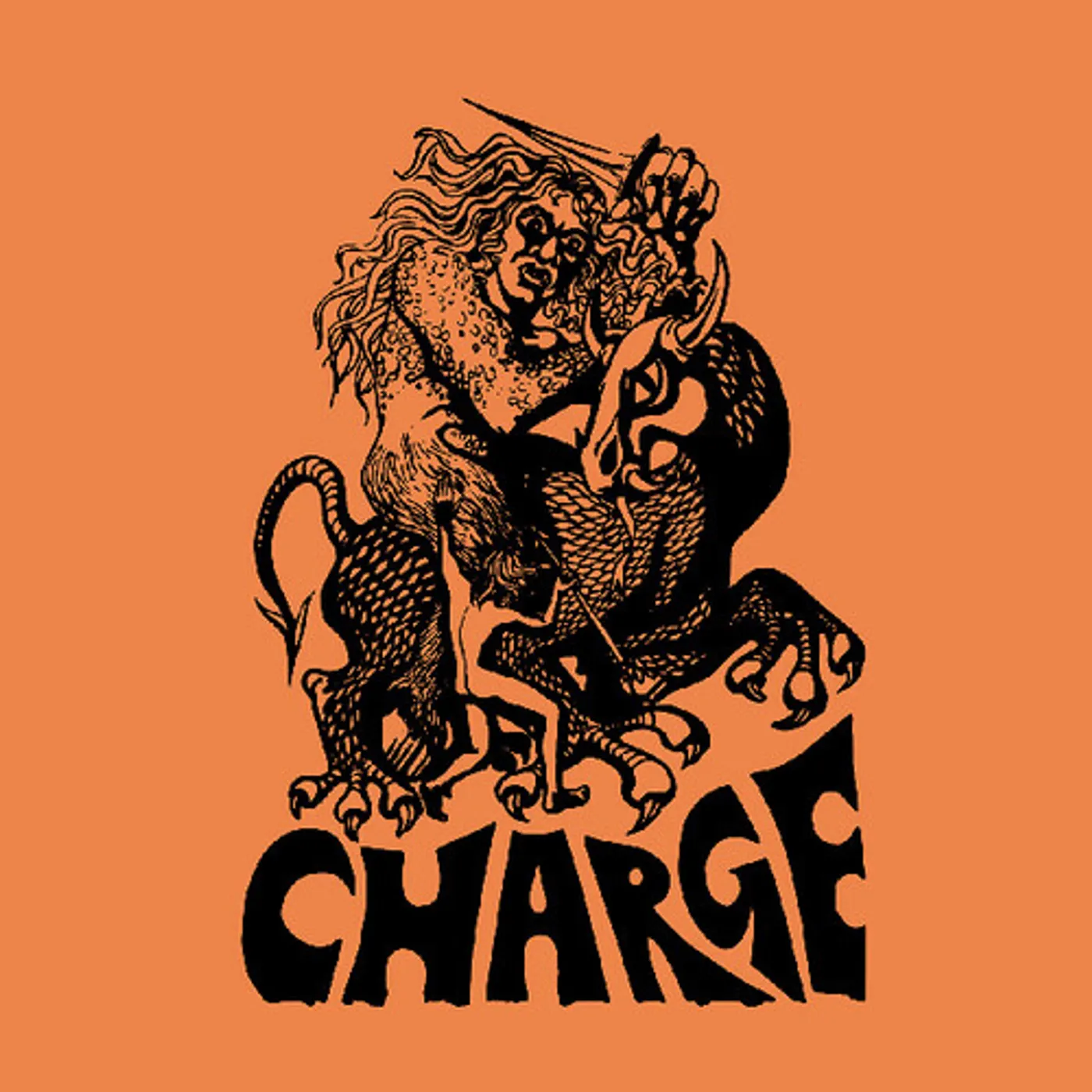 Charge Vinyl Record