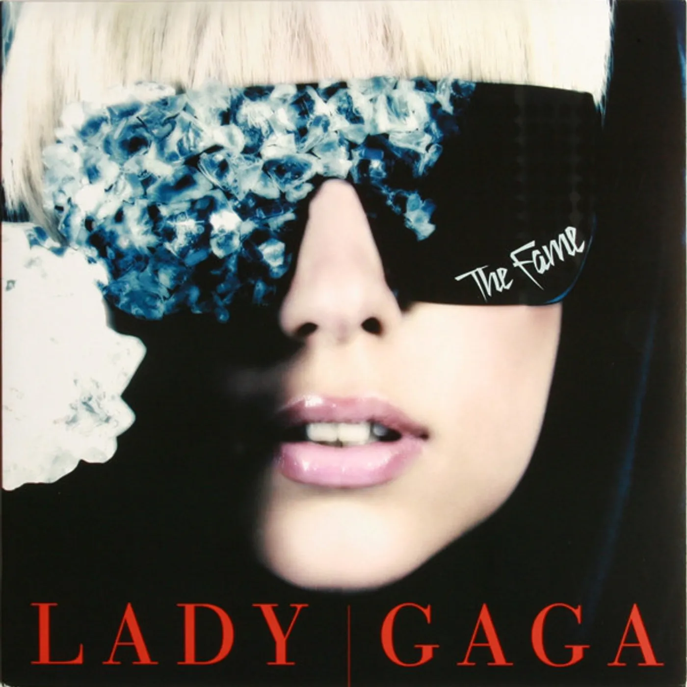Lady Gaga FAME Vinyl Record