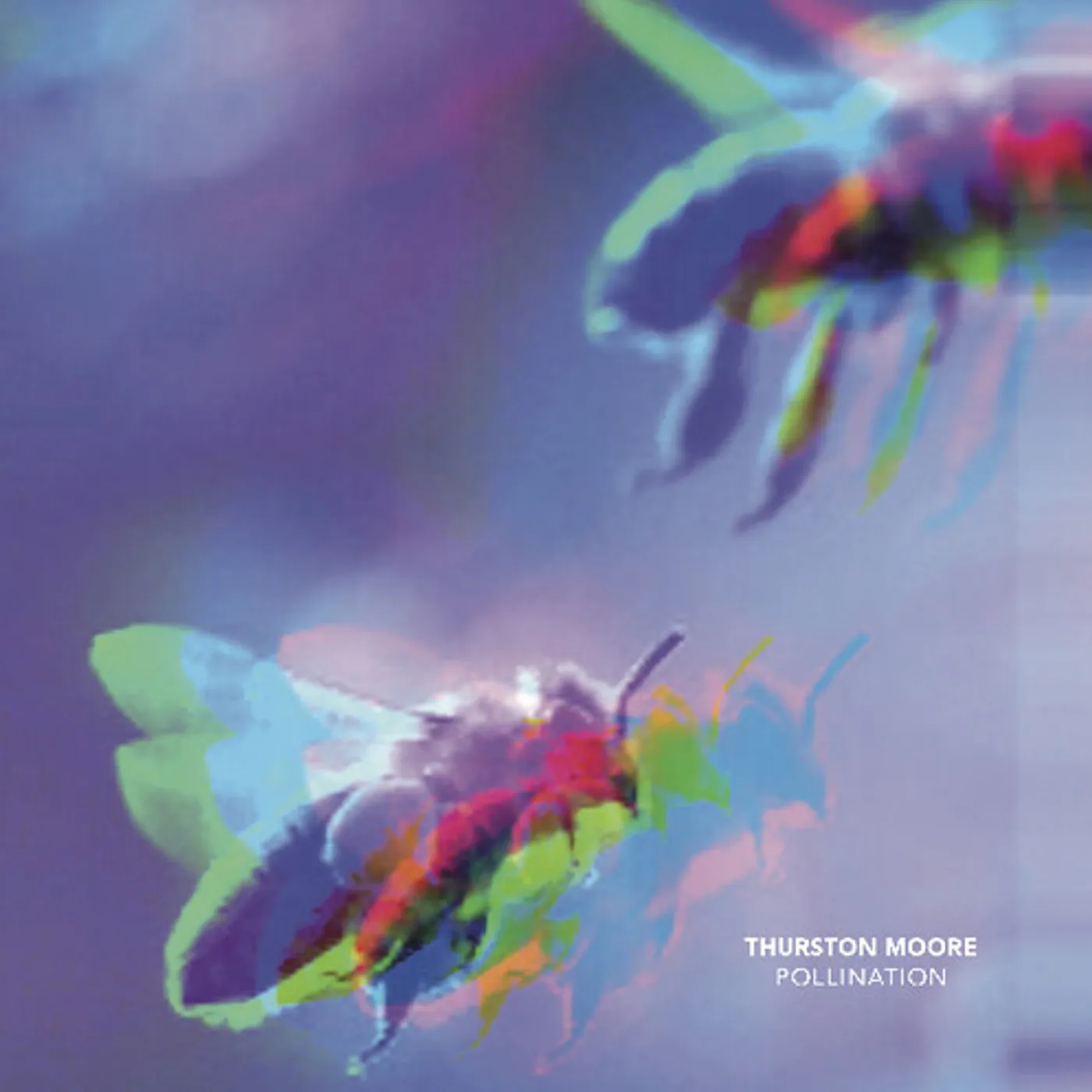 Thurston Moore Pollination / Leave Me Alone Vinyl Record