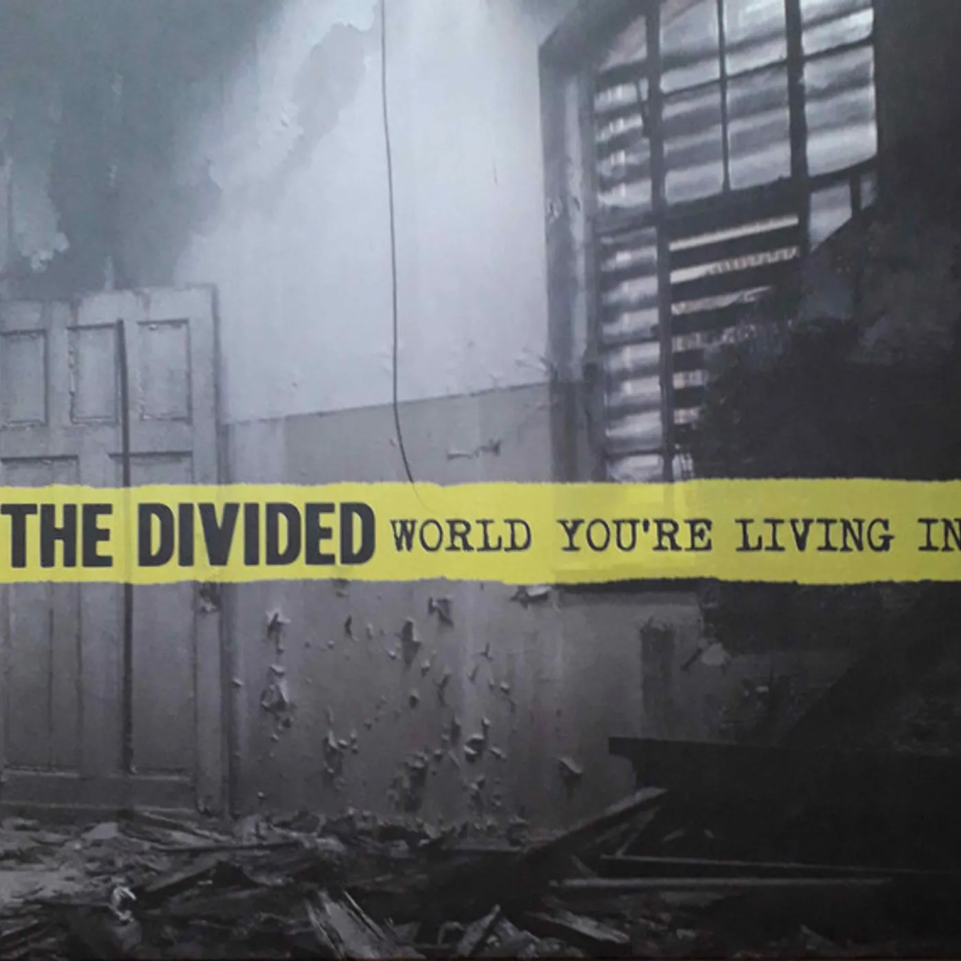Divided World You're Living In Vinyl Record