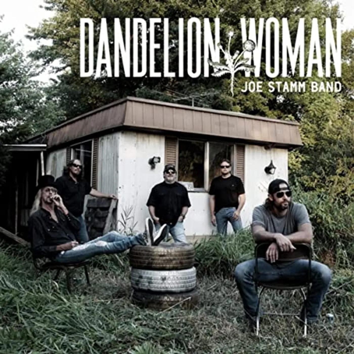 Joe Stamm DANDELION WOMAN Vinyl Record
