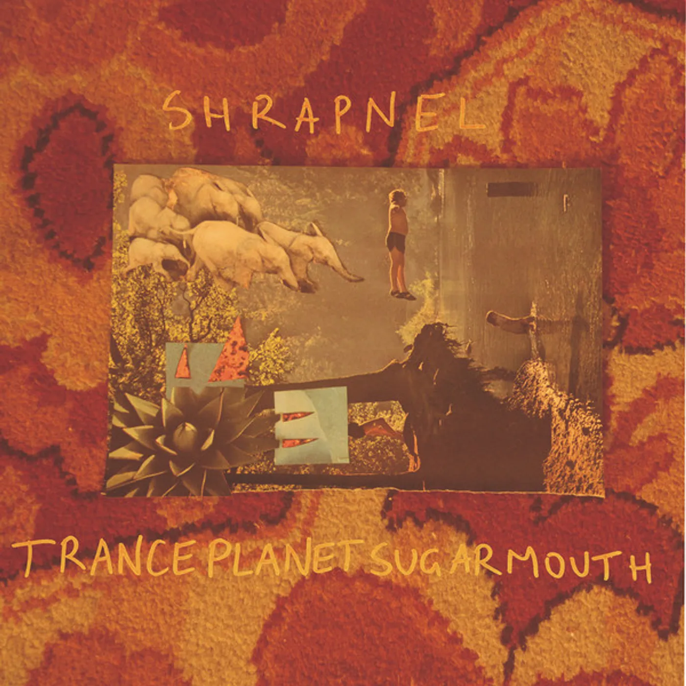 Shrapnel TRANCEPLANETSUGARMOUTH Vinyl Record