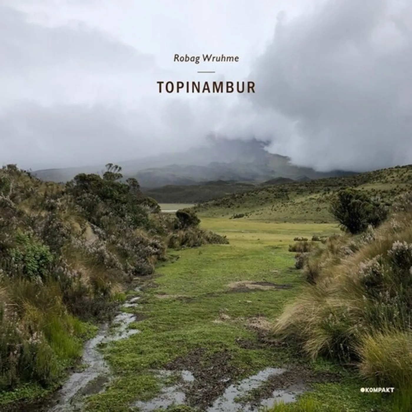 Robag Wruhme TOPINAMBUR Vinyl Record