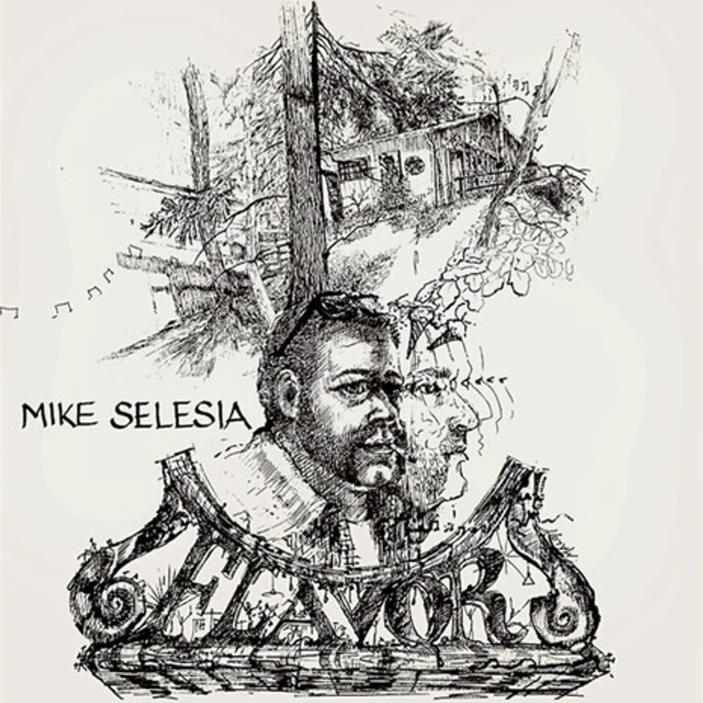 Mike Selesia Flavor Vinyl Record