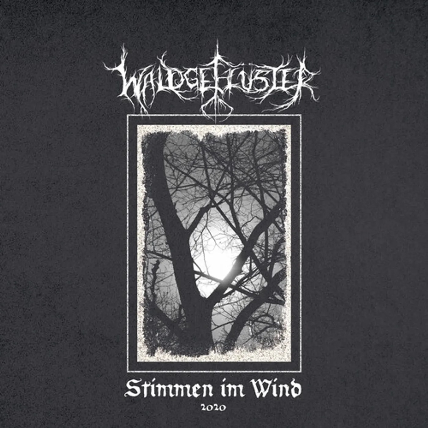 Waldgeflüster STIMMEN IM WIND 2020 Vinyl Record