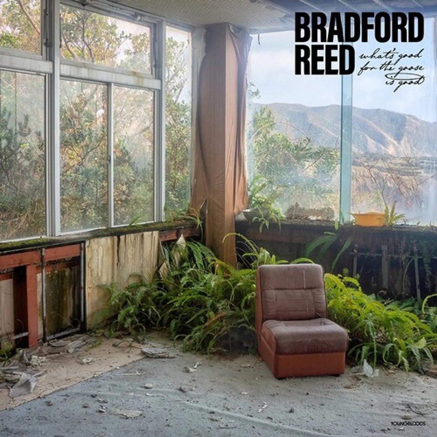 Bradford Reed What's Good for the Goose Is Good Vinyl Record