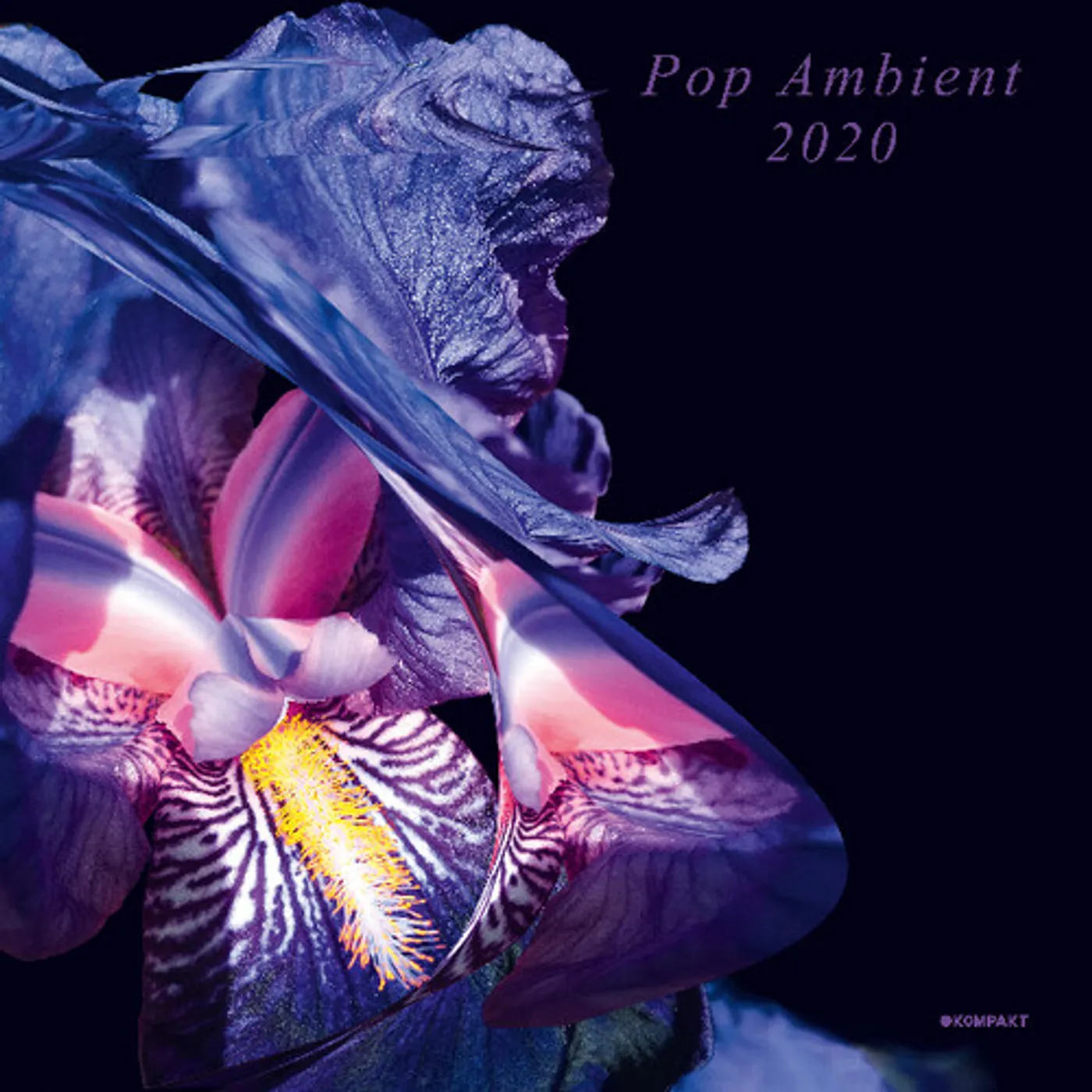Various Artists  POP AMBIENT 2020 CD