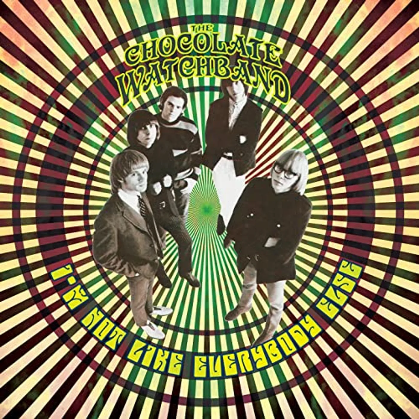The Chocolate Watchband I'm Not Like Everybody Else Vinyl Record
