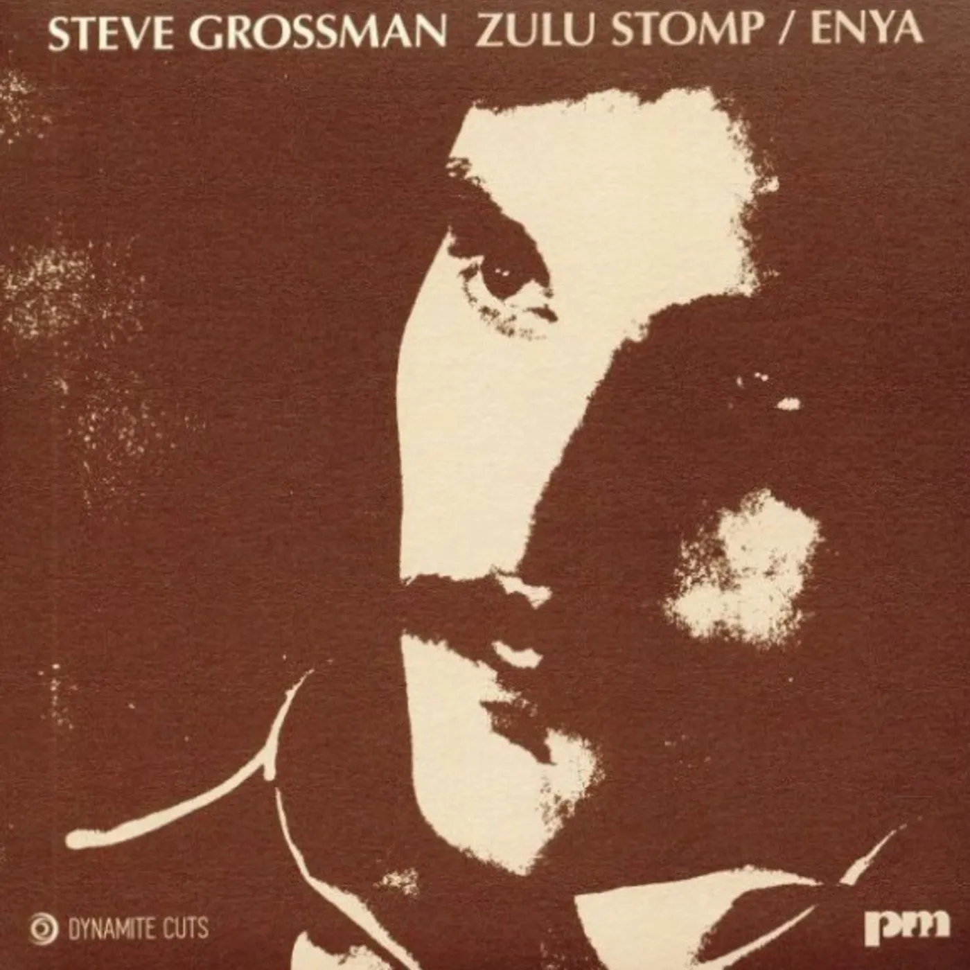 Steve Grossman ZULU STOMP / ENYA Vinyl Record