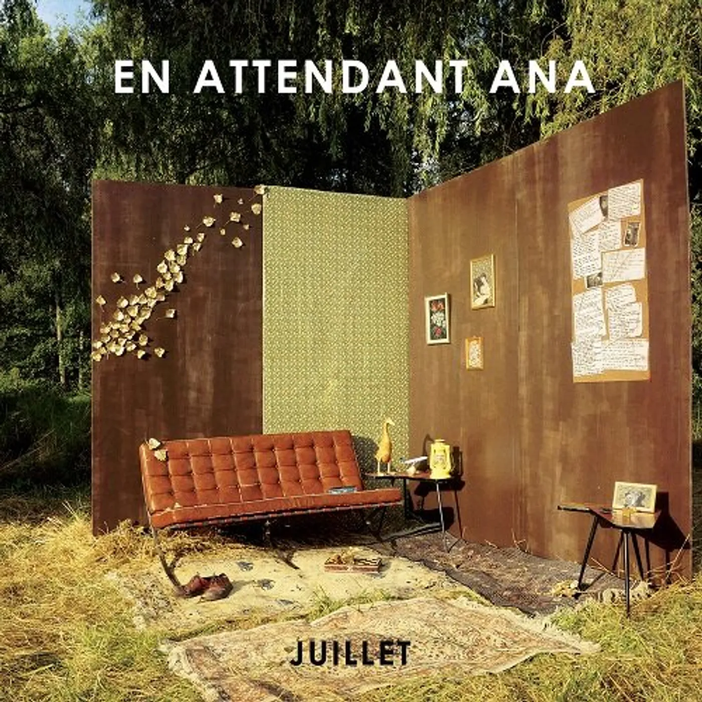 En Attendant Ana Juillet Vinyl Record
