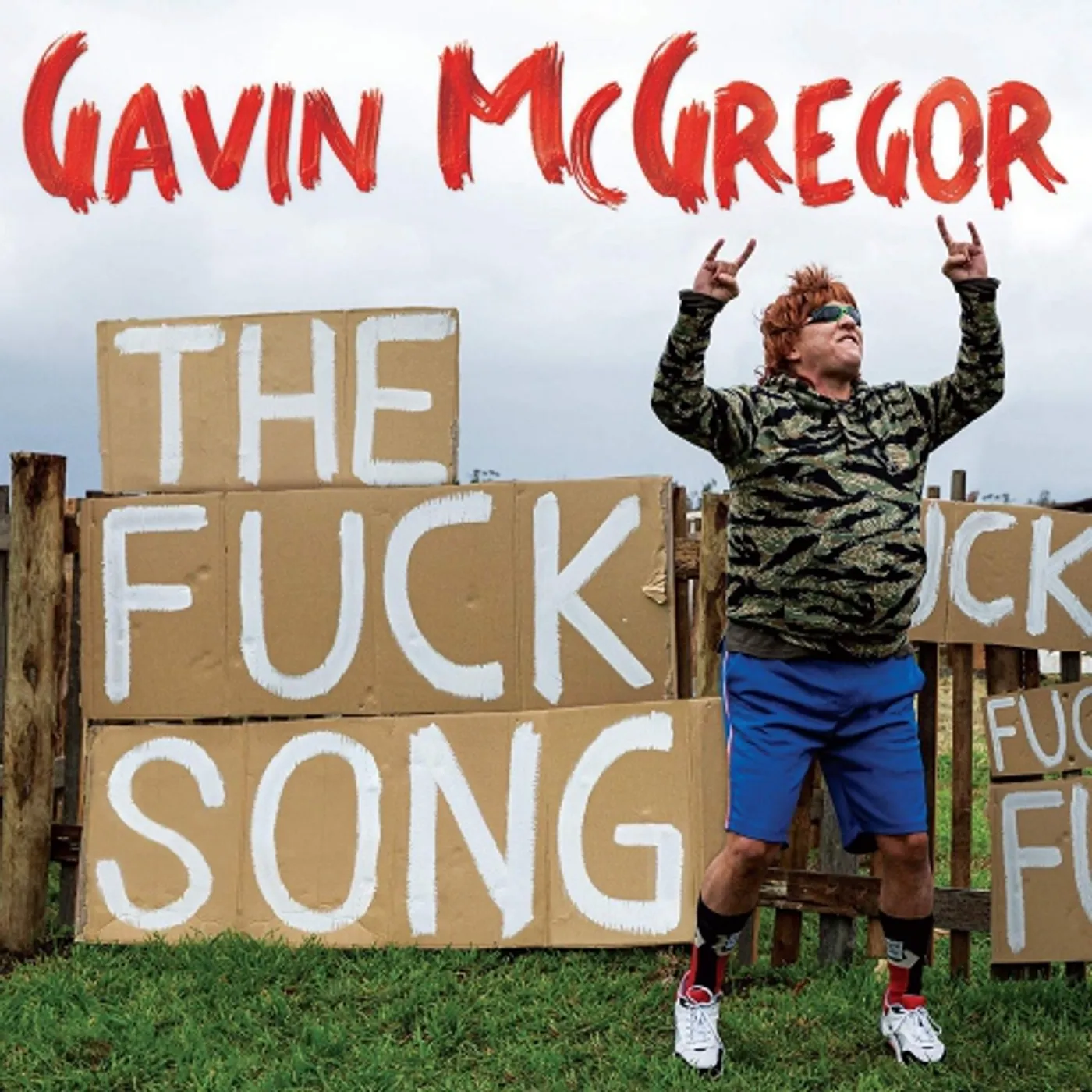 Chris Lilley FUCK SONG Vinyl Record