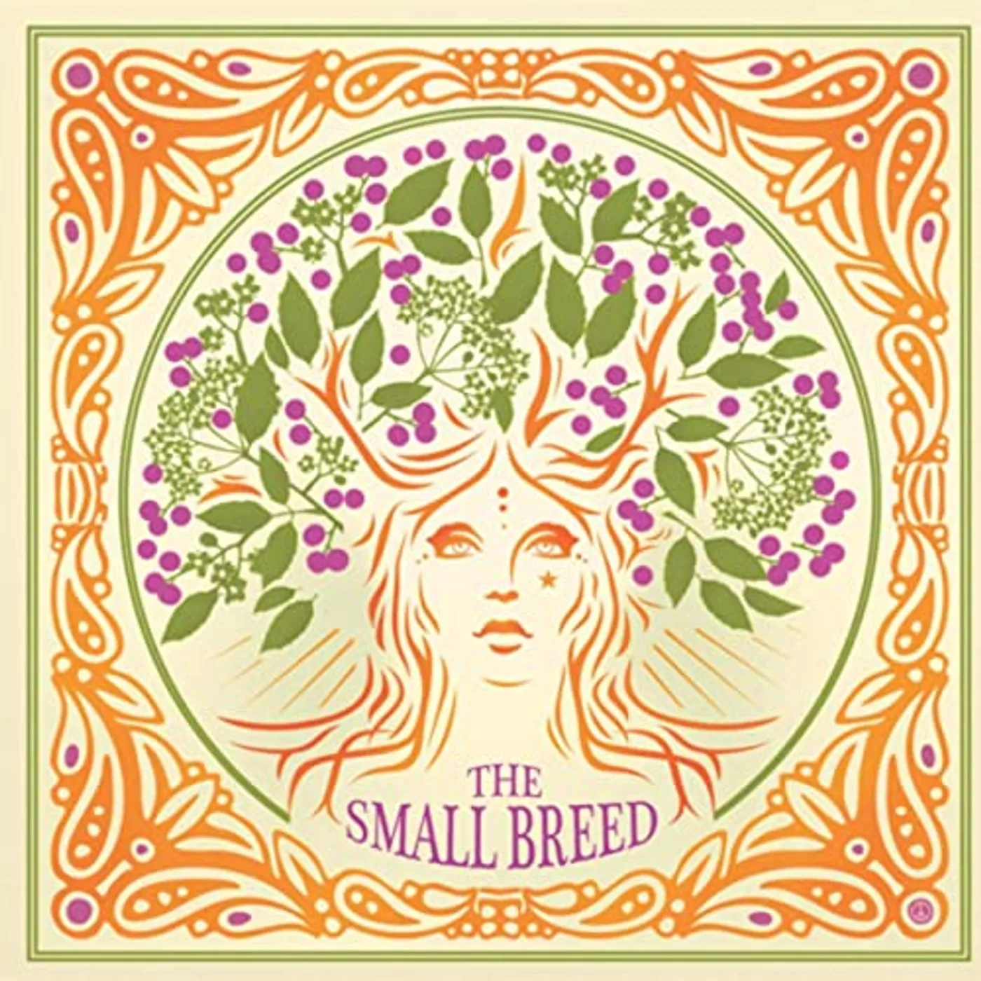 The Small Breed AN ELDERFLOWER PARLIAMENT Vinyl Record