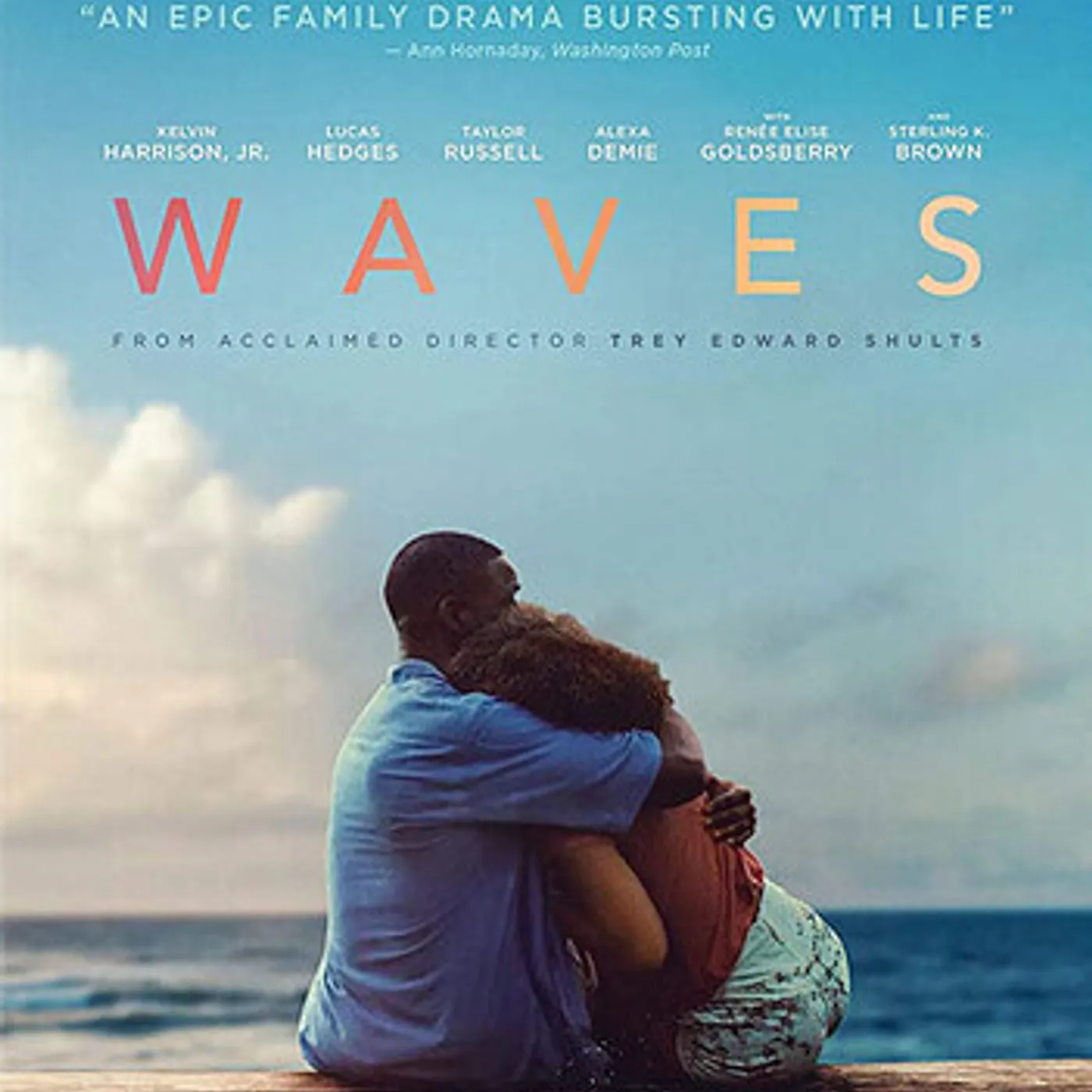 Wavves DVD