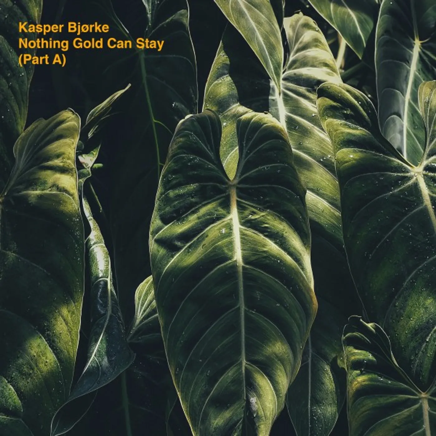 Kasper Bjorke  NOTHING GOLD CAN STAY Vinyl Record