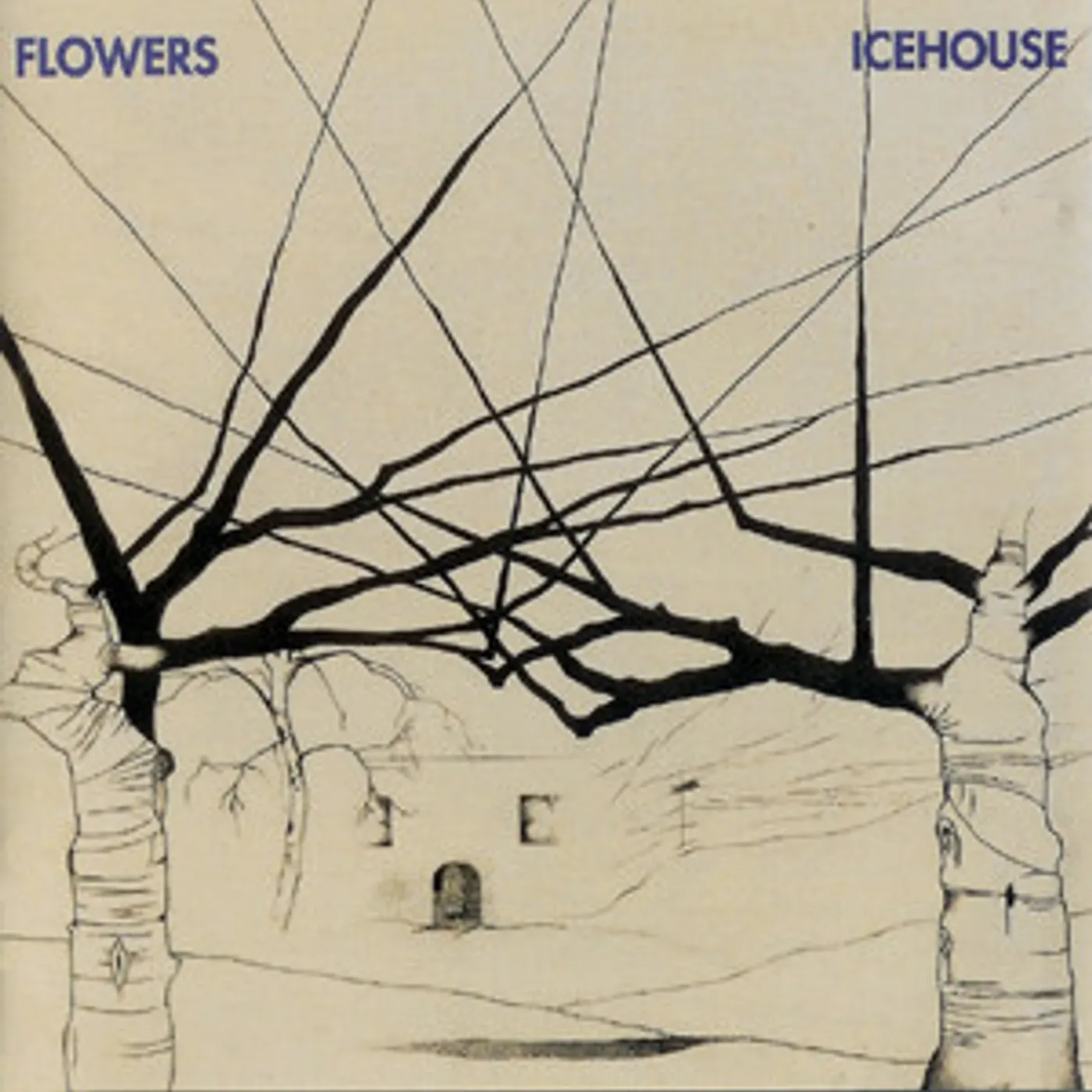 Flowers Icehouse Vinyl Record