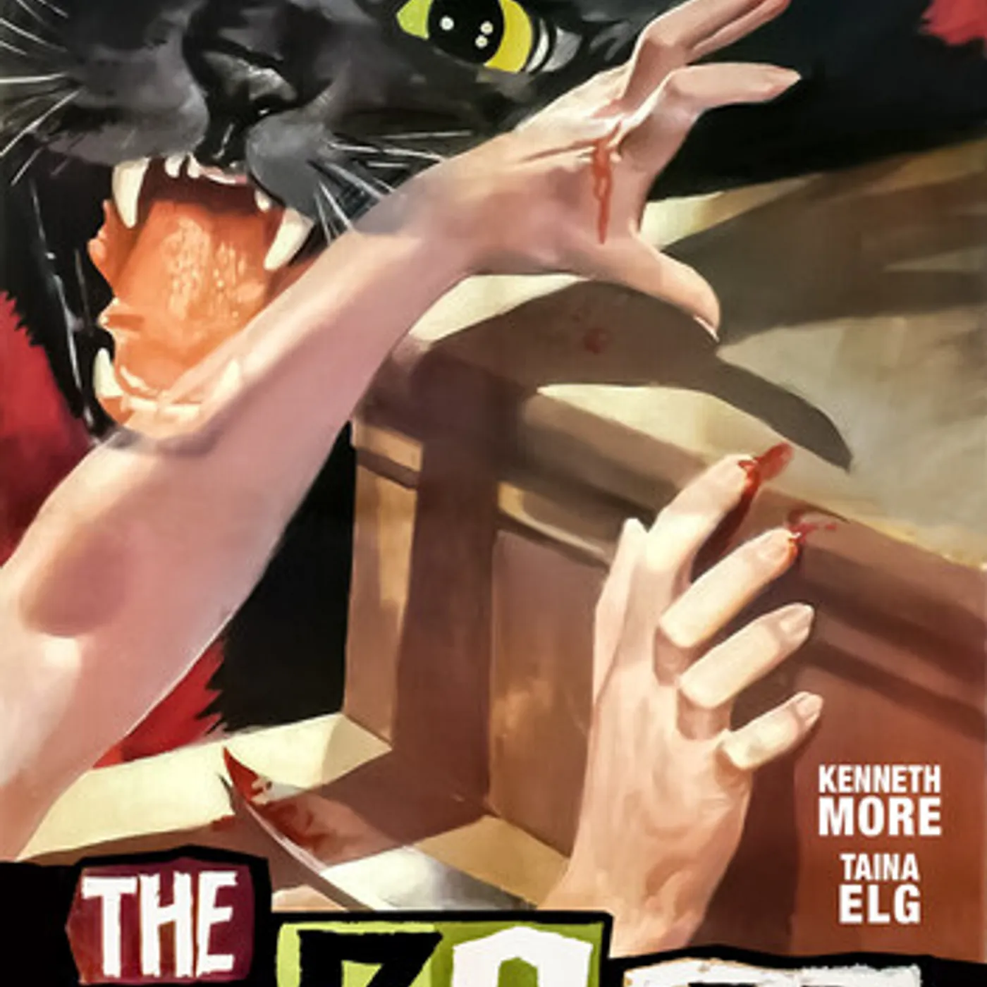 39 STEPS DVD